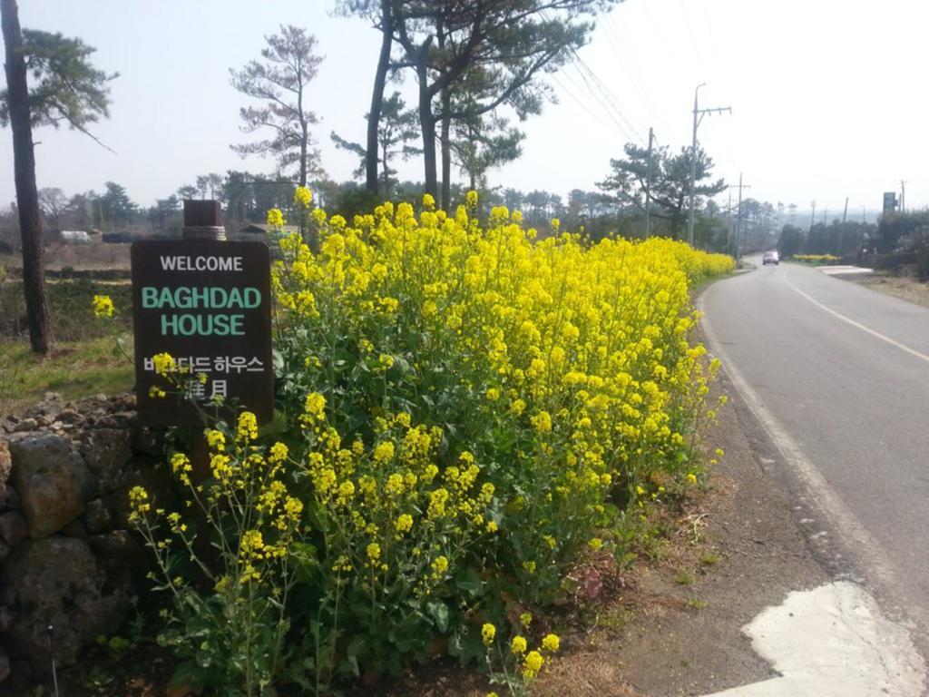 Villa Baghdad House Jeju Exterior foto