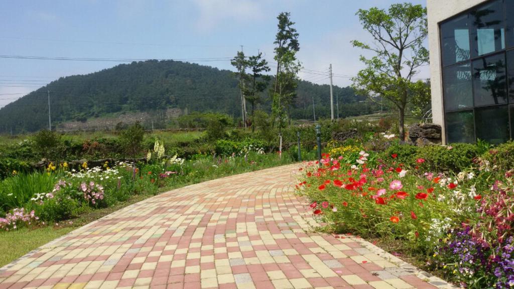 Villa Baghdad House Jeju Exterior foto