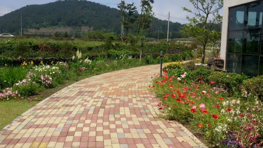 Villa Baghdad House Jeju Exterior foto