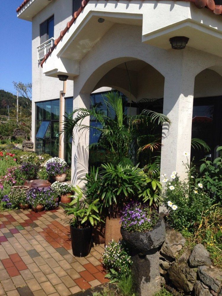 Villa Baghdad House Jeju Exterior foto